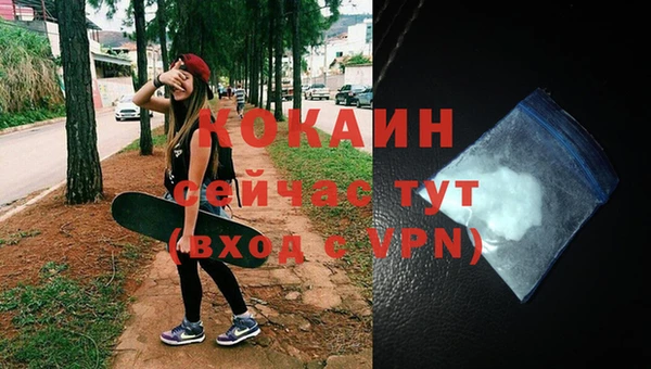 шишки Аркадак