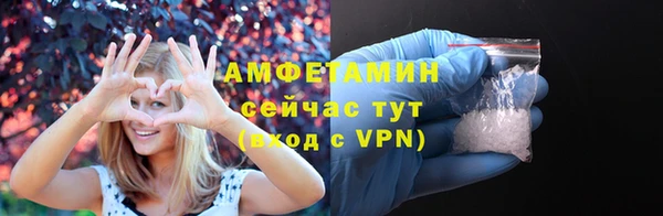 шишки Аркадак