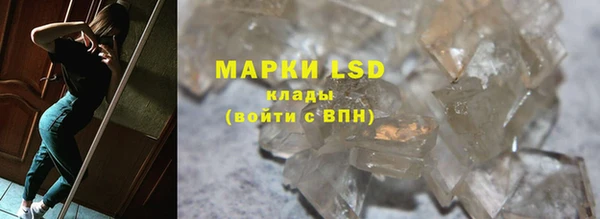 шишки Аркадак
