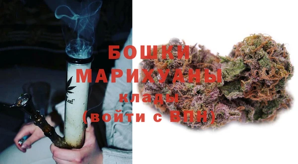 шишки Аркадак