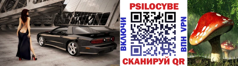 Купить  Моршанск  Галлюциногенные грибы Psilocybe 